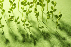 小米SU7安全配置大揭秘！首创黑科技+三重防护，雷军说的“用料扎实”真不是吹的