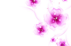 WordPress去除分类目录“category”路径的三种方法