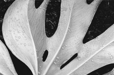 小米SU7安全配置大揭秘！首创黑科技+三重防护，雷军说的“用料扎实”真不是吹的