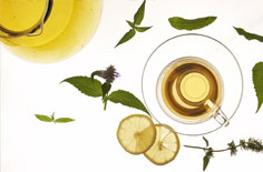 WordPress去除分类目录“category”路径的三种方法